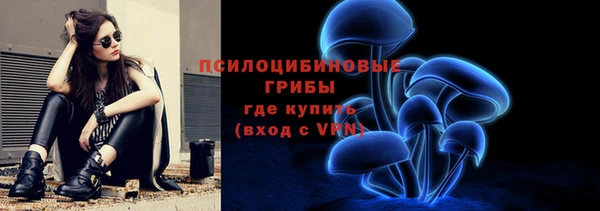 гашик Абаза
